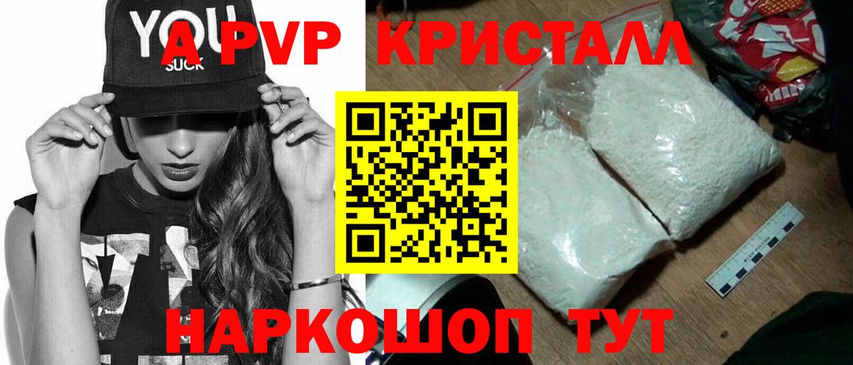 A PVP СК Новошахтинск