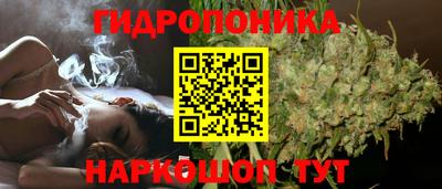 гашишное масло Кингисепп