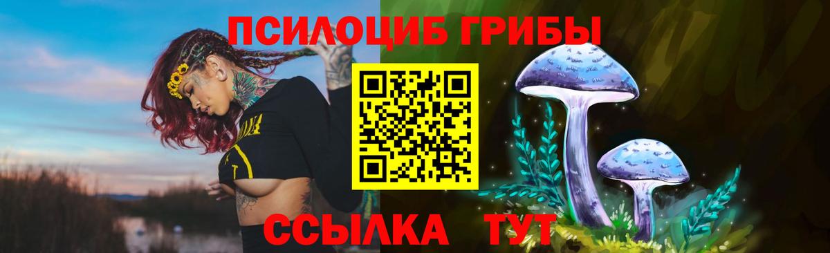 Новошахтинск  Псилоцибиновые грибы прущие грибы  Галлюциногенные грибы мицелий  Вход с VPN 